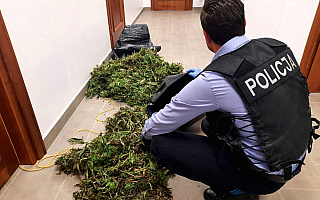 Kilka kilogramów marihuany w aucie. Mężczyzna spod Mrągowa miał nielegalną plantację